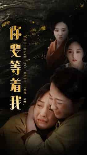 你要等着我(85集)索菲-搜外项目网