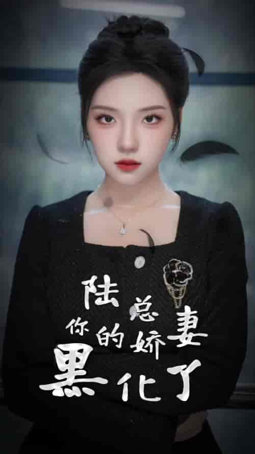 陆总，你的娇妻黑化了（67集）-搜外项目网