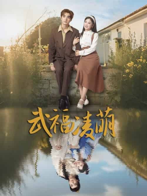 武福凌萌（71集全）铁占龙＆张若辰-搜外项目网