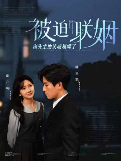 被迫联姻谢先生他笑成翘嘴了（100集全）肖茜文-搜外项目网