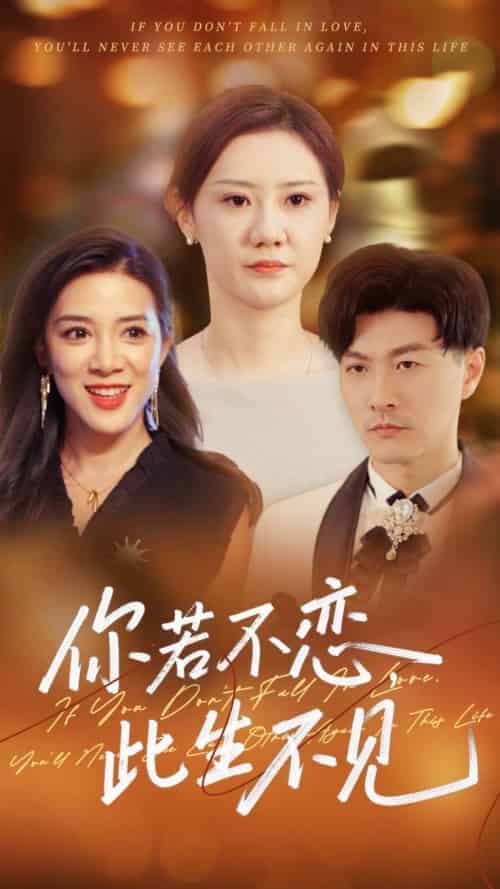 你若不恋此生不见（70集）开心＆樊磊-搜外项目网