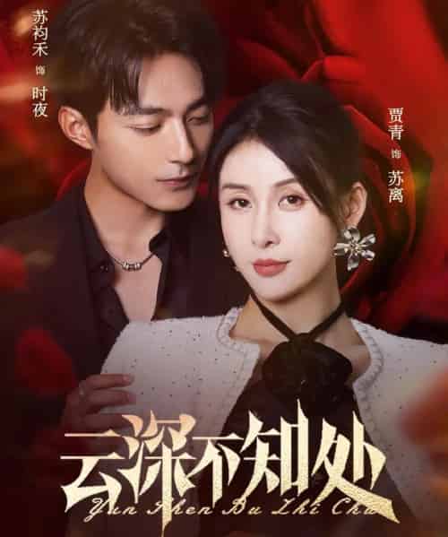 云深不知处(75集)苏袀禾&贾青-搜外项目网
