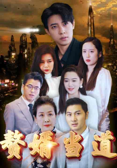 赘婿当道(78集全)霍风&赵晶晶-搜外项目网