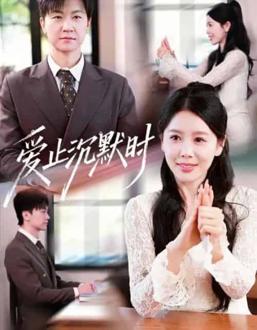 爱止沉默时(70集全)王鹏&丁海霞-搜外项目网