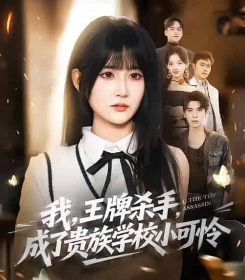 我,王牌杀手,成了贵族学校小可怜&我王牌杀手成了贵族学校小可怜(80集全)吴宇航&杨珊子-搜外项目网