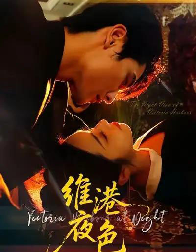 维港夜色&港城回响(106集全)陈钊翌&白雪茹-搜外项目网