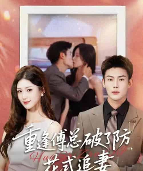 重逢傅总破了防，花式追妻（86集全）张培宝＆杨云绚-搜外项目网