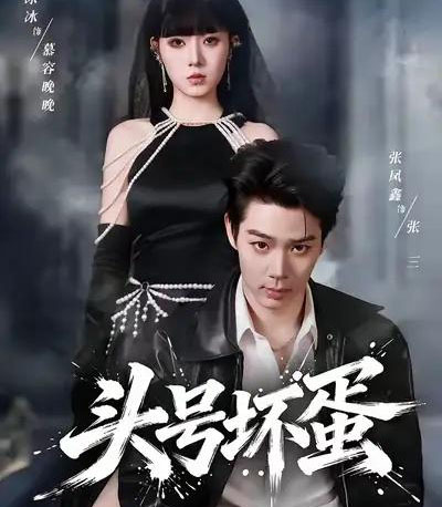 头号坏蛋(58集全)刘源&李冰冰-搜外项目网