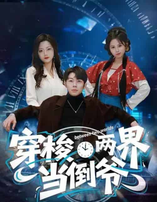 穿梭两界当倒爷(80集全)加菲猫&郑天奇-搜外项目网