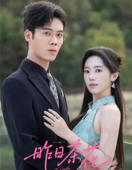 昨日茶花（56集全）许炎磊＆黄思宇-搜外项目网