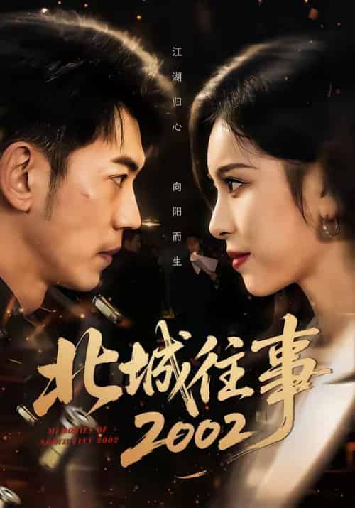 北城往事2002(60集全)李泉成&金瑶-搜外项目网