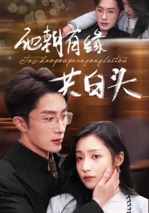 他朝有缘共白头（63集全）叶庭＆阚梓艺-搜外项目网