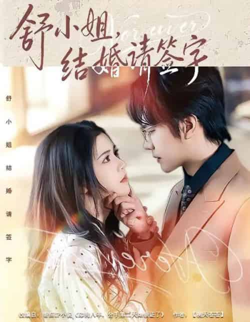 舒小姐，结婚请签字（61集全）赵垣又＆杨紫艺-搜外项目网