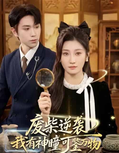 废柴逆袭：我有神瞳可鉴万物（60集全）林元元＆董佳霖-搜外项目网