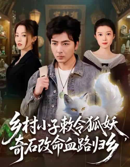 乡村小子敕令狐妖，奇石改命血路归乡（80集全）郑明洋＆杨雨欣-搜外项目网
