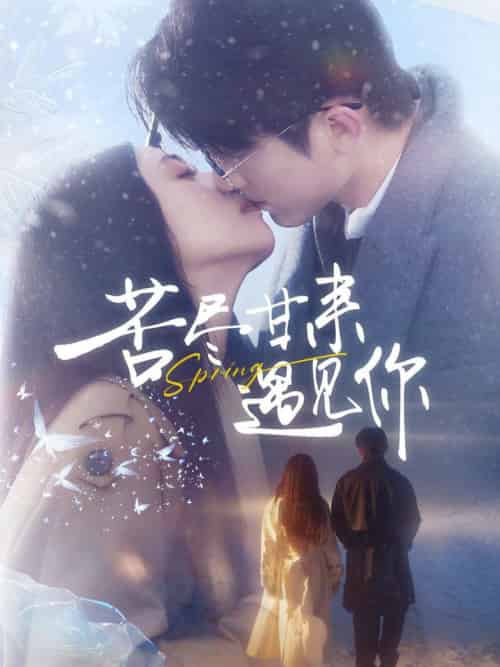 苦尽甘来遇见你（87集全）张宇轩＆雷小米-搜外项目网