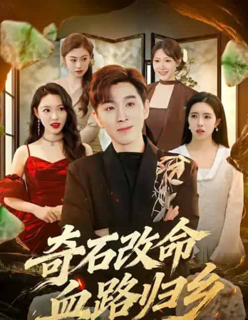 奇石改命血路归乡（81集全）胡程耀＆薛薛-搜外项目网