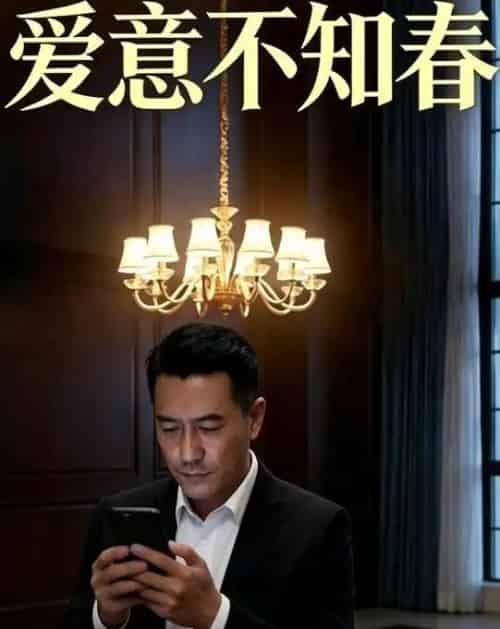 爱意不知春（32集全）AI-搜外项目网