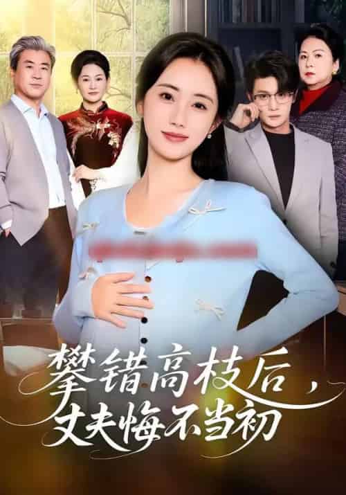 攀错高枝后，丈夫悔不当初（60集全）刘方为＆南书-搜外项目网