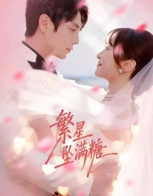 繁星坠满糖(75集全)程琳淼&张添景-搜外项目网