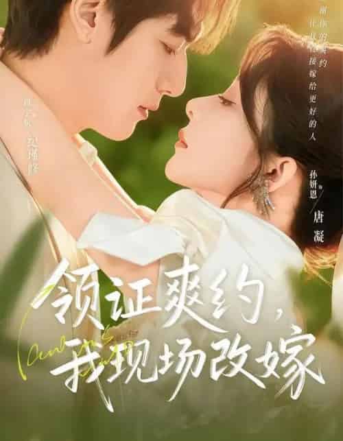 领证爽约，我现场改嫁（60集全）周宇航＆孙妍恩-搜外项目网