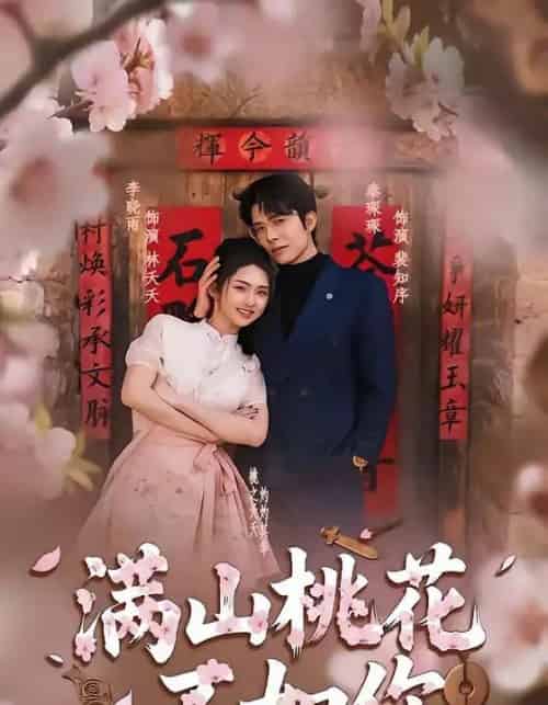 满山桃花不如你（31集全）秦琛琛＆李晓雨-搜外项目网