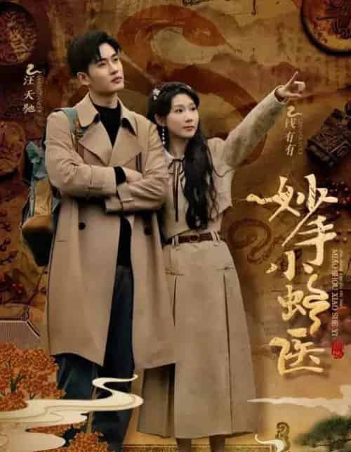 妙手小蛇医（12集全）易恒＆曹嘉怡＆彭慧玲-搜外项目网