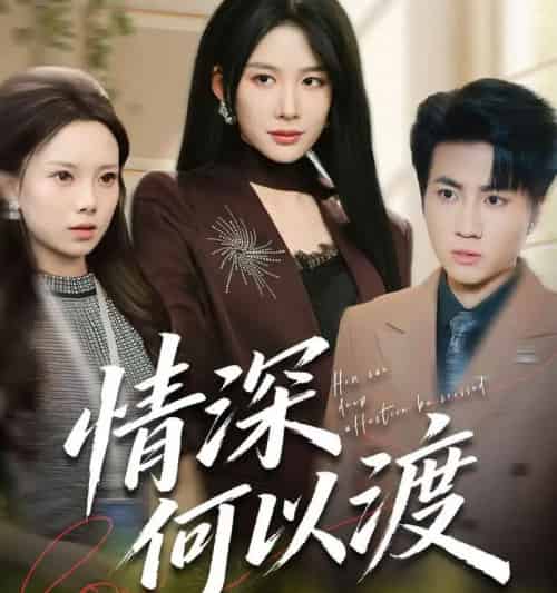 情深何以渡＆月落南城悔已迟（62集全）吕游＆牛湘鹭-搜外项目网