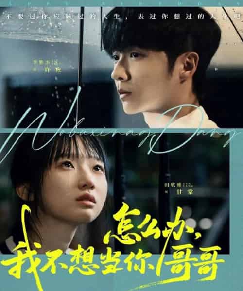 怎么办，我不想当你哥哥（77集全）李胜杰＆田欣雅（饼干辣辣）-搜外项目网