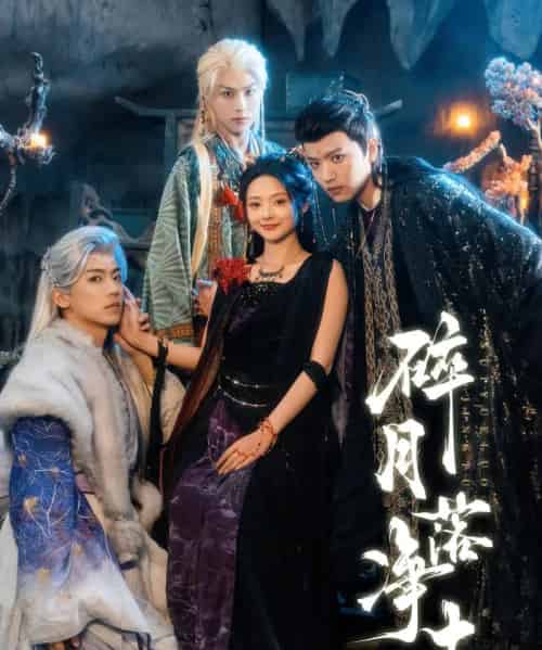 碎月落净土（70集全）王宇威＆觅七-搜外项目网