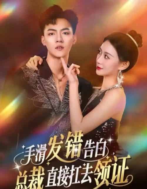 手滑发错告白，总裁直接扛去领证（80集全）王三北＆盛佳琦-搜外项目网