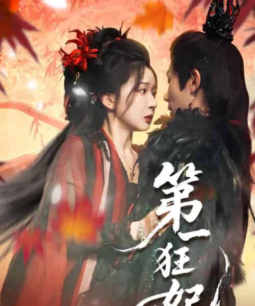 第一狂妃（70集）李铂一＆邢暖（初五）-搜外项目网