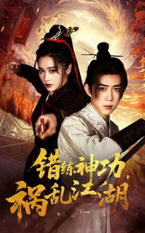 错练神功祸乱江湖（52集全）刘雪莹＆刘檀嘉-搜外项目网