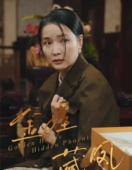 金屋藏凤（30集全）刘哲鑫＆祝聿白-搜外项目网
