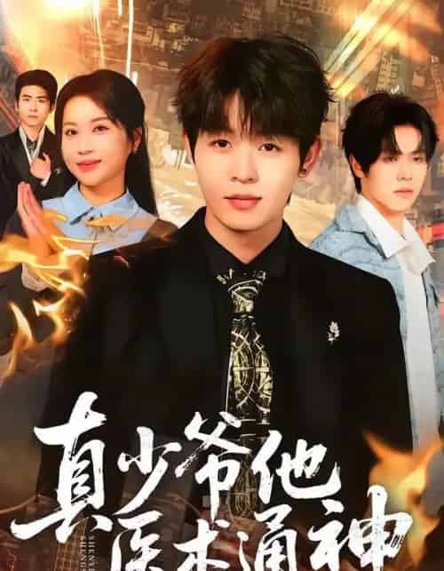 真少爷他医术通神（70集全）廖家昊＆陈琳琳-搜外项目网