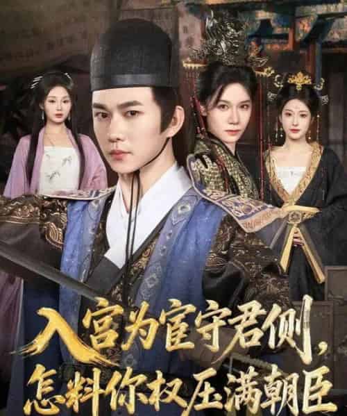 入宫为宦守君侧怎料你权压满朝臣（81集全）黄彦恺＆康依凡-搜外项目网