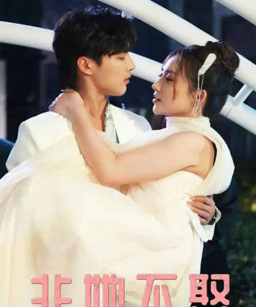 非她不娶（38集全）屈浩野＆胡皓仪-搜外项目网