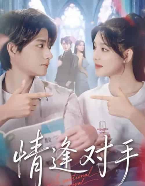 情逢对手（51集全）陈凯洲＆陆翊-搜外项目网