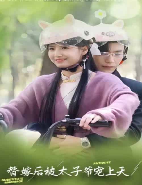 替嫁后被太子爷宠上天（80集）王槿＆沉思-搜外项目网