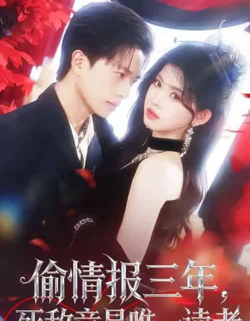 偷情报三年，死敌竟是唯一读者（101集全）陈智慧＆潘慧敏-搜外项目网