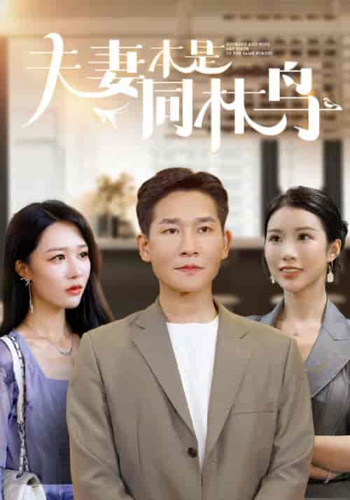 夫妻本是同林鸟(76集)李可馨 钟莹玲-搜外项目网