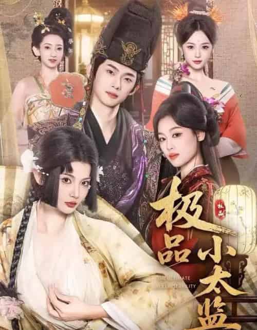 极品小太监（80集全）王星辰＆木杉-搜外项目网