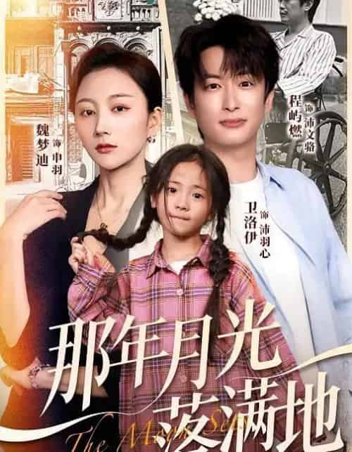 那年月光落满地（60集全）魏梦迪＆程屿燃-搜外项目网