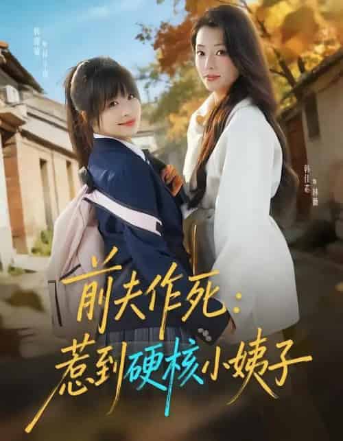 前夫作死:惹到硬核小姨子(62集全)韩佳芯&韩露瑜-搜外项目网