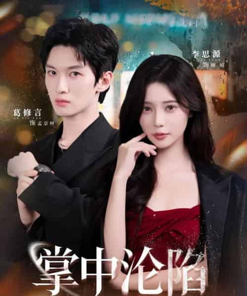 掌中沦陷(80集全)葛修言&李思源-搜外项目网