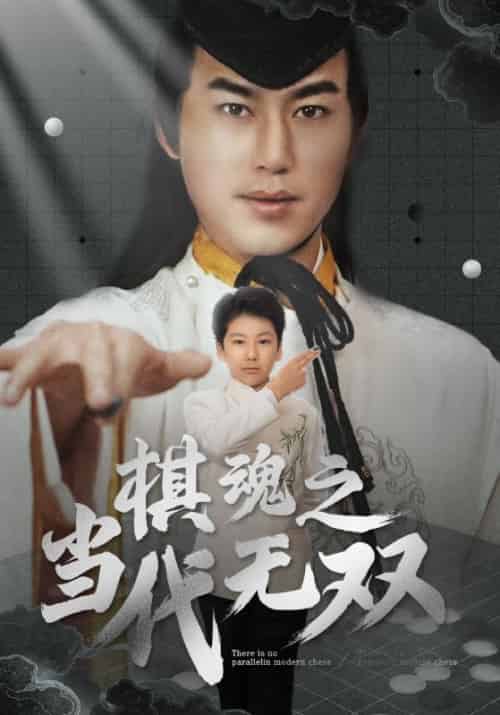 棋魂之当代无双（88集全）田苗苗-搜外项目网