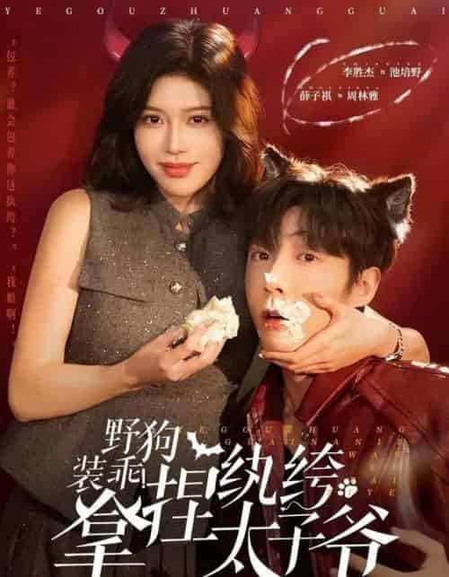 野狗装乖！拿捏纨绔太子爷（80集全）李胜杰＆薛子祺-搜外项目网