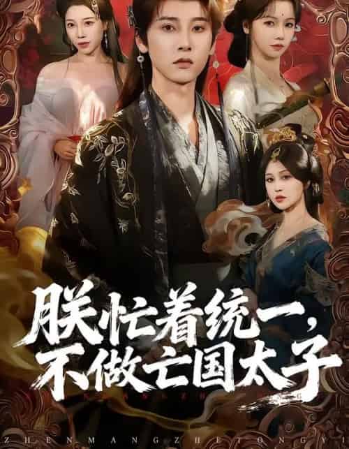 朕忙着统一，不做亡国太子（81集全）冯俊熙＆寇诗翎-搜外项目网