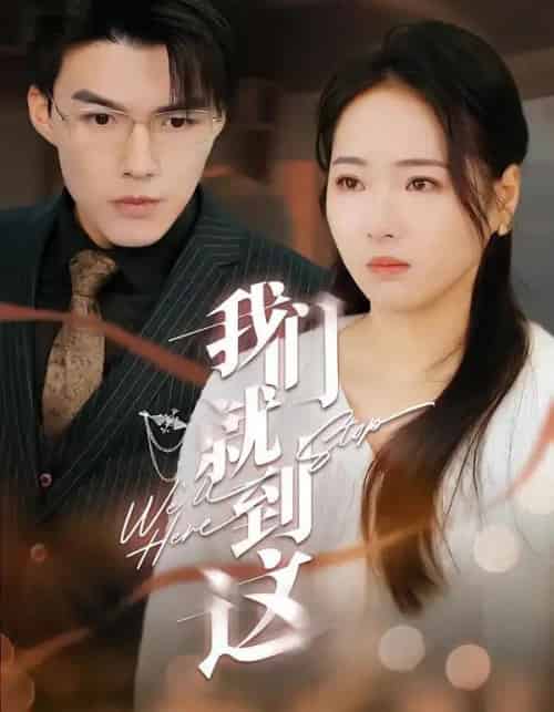 我们就到这（45集全）徐世彥-搜外项目网