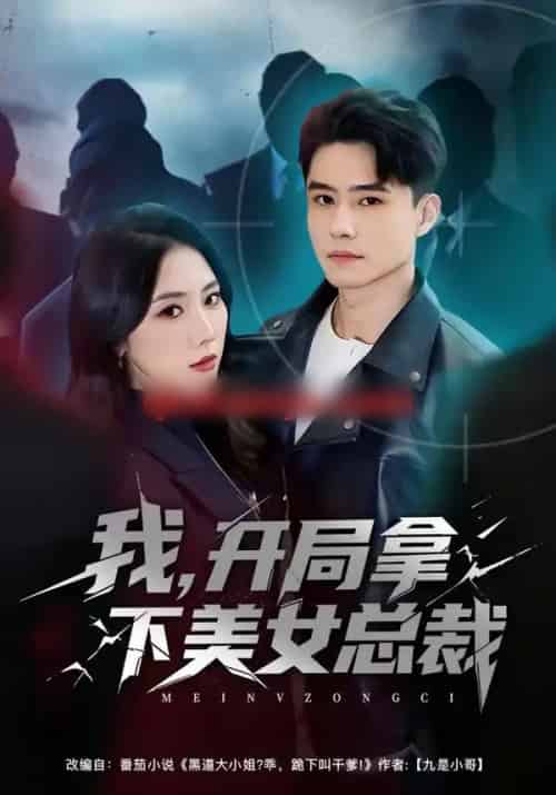 我，开局拿下美女总裁（80集全）翟兆星＆金鑫欣-搜外项目网